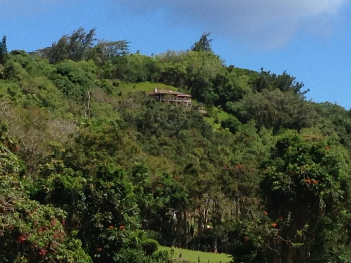Marjorie'S Kauai Inn Lawai Exteriér fotografie